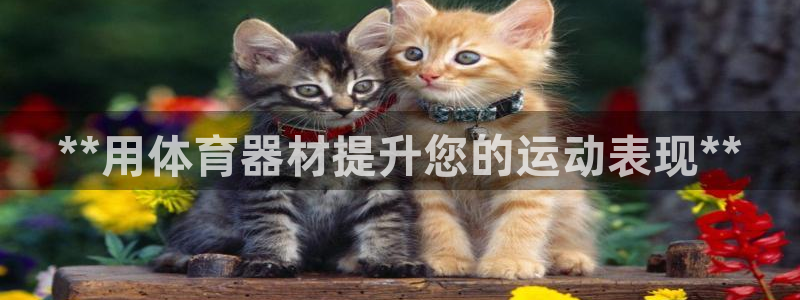 耀世平台app下载：**用体育器材提升您的运动表现*