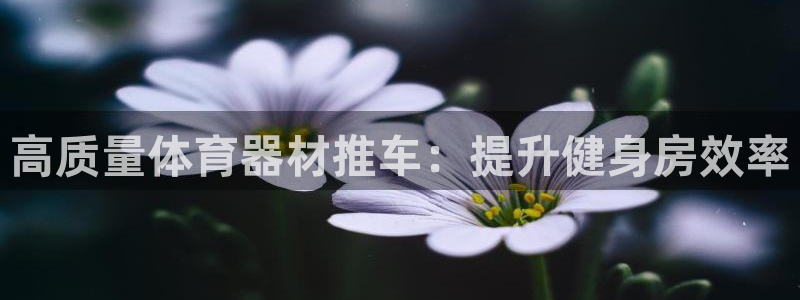 耀世盛典官网下载：高质量体育器材推车：提升健身房效率