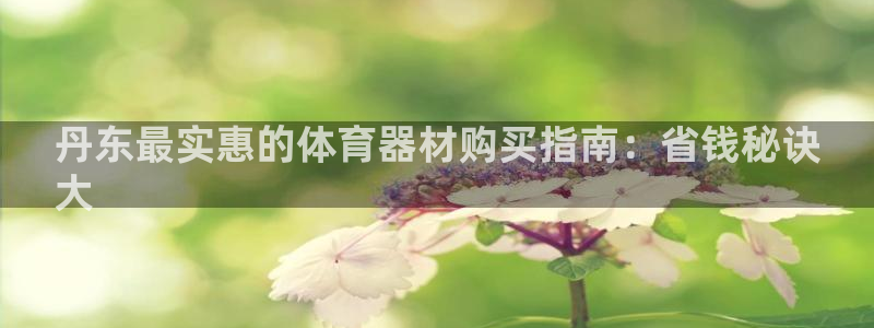 耀世娱乐老板叫什么：丹东最实惠的体育器材购买指南：省