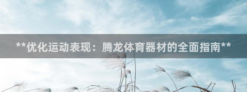 耀世是什么游戏：**优化运动表现：腾龙体育器材的全面