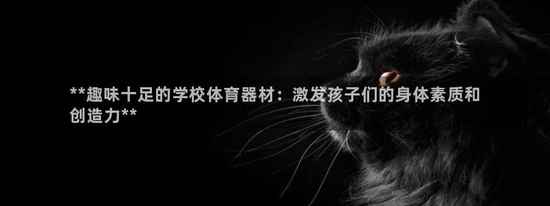 耀世娱乐总代：**趣味十足的学校体育器材：激发孩子们