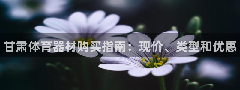 耀世娱乐平台官网登录入口手机版：甘肃体育器材购买指南