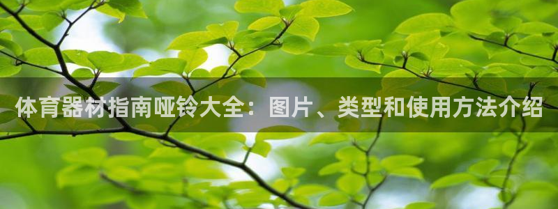 耀世娱乐返点：体育器材指南哑铃大全：图片、类型和使用
