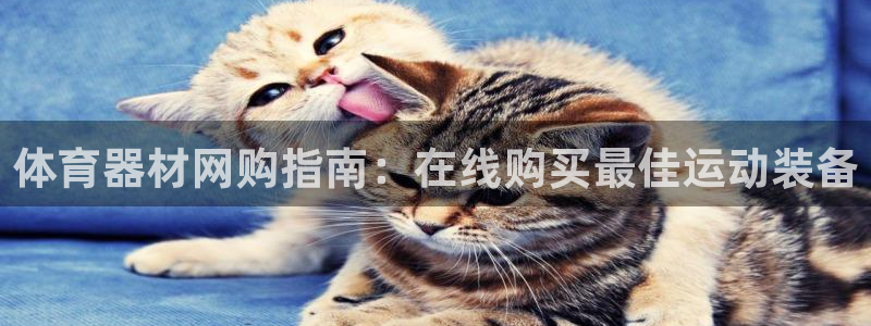 耀世国际平台正规吗安全吗可靠吗：体育器材网购指南：在