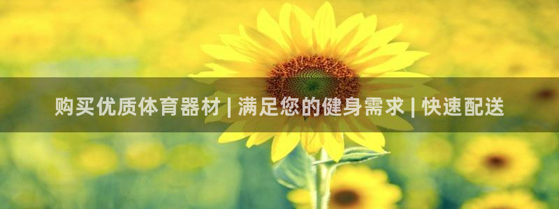 耀世团长：购买优质体育器材 | 满足您的健身需求 |