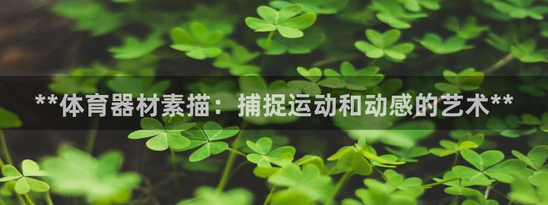 耀世平台理7O777：**体育器材素描：捕捉运动和动