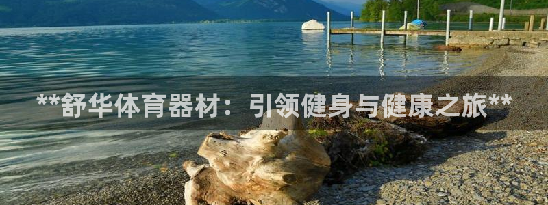 耀世平台哪个彩种是公平彩：**舒华体育器材：引领健身