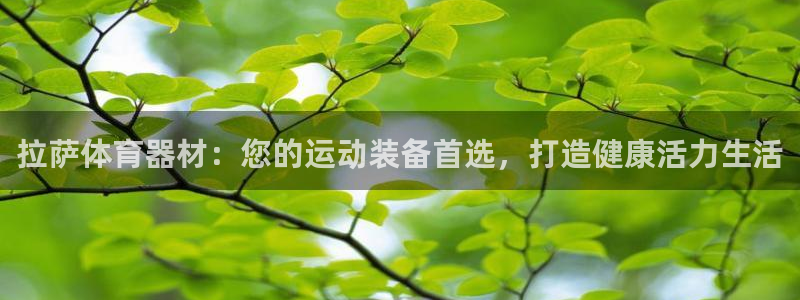 耀世娱乐联 411O31 娱乐：拉萨体育器材：您的运