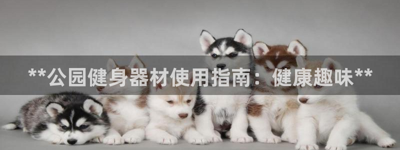 耀世娱乐违法吗：**公园健身器材使用指南：健康趣味*