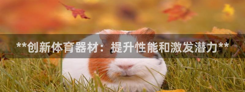 耀世集团董事长简介：**创新体育器材：提升性能和激发