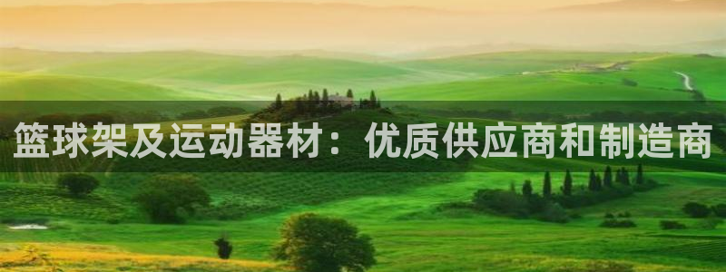耀世平台推 411o31 耀世：篮球架及运动器材：优