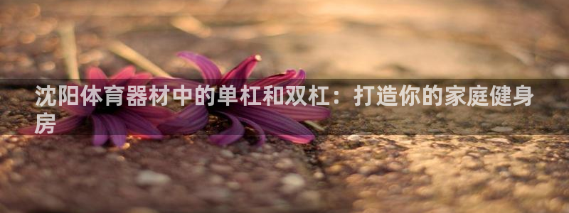 耀世集团员工福利待遇：沈阳体育器材中的单杠和双杠：打