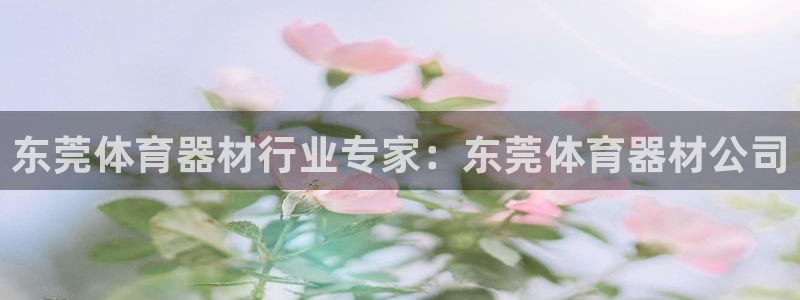 耀世娱乐平台注册登录：东莞体育器材行业专家：东莞体育