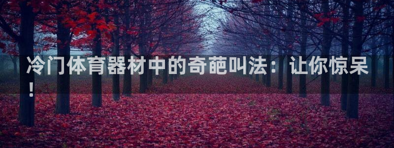 耀世娱乐黑钱吗：冷门体育器材中的奇葩叫法：让你惊呆
