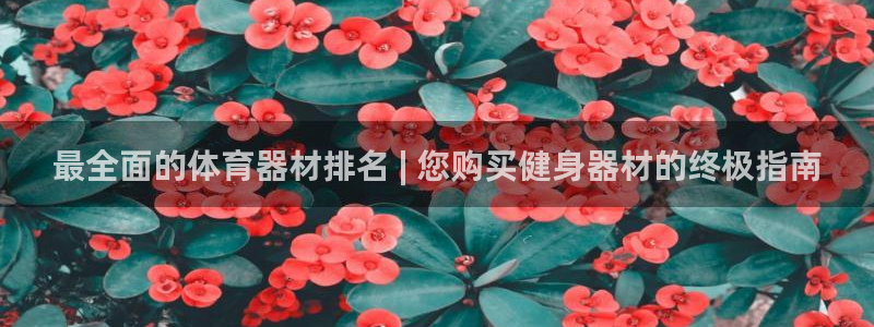 耀世平台代理怎么做任务：最全面的体育器材排名 | 您