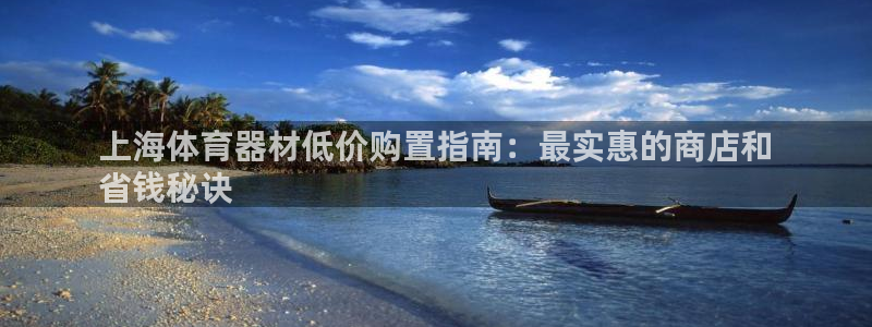 耀世集团商业联盟怎么样：上海体育器材低价购置指南：最