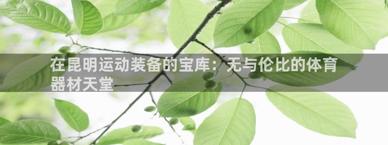 耀世娱乐辅助软件下载：在昆明运动装备的宝库：无与伦比