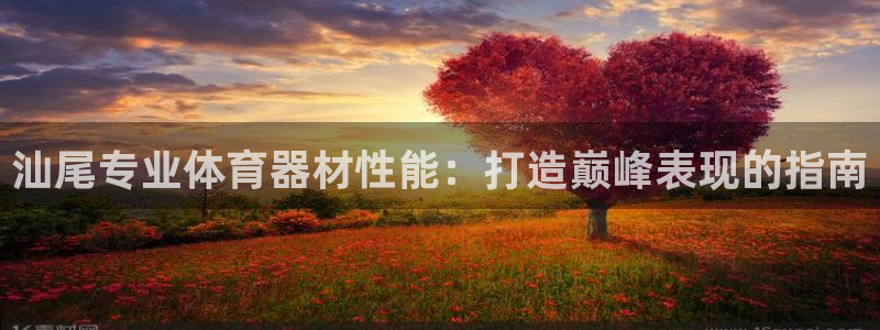 耀世娱乐列7O777：汕尾专业体育器材性能：打造巅峰