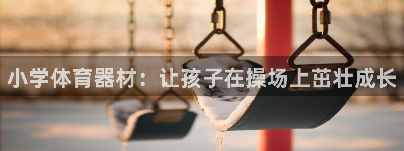 耀世娱乐在线登录官网入口手机版：小学体育器材：让孩子