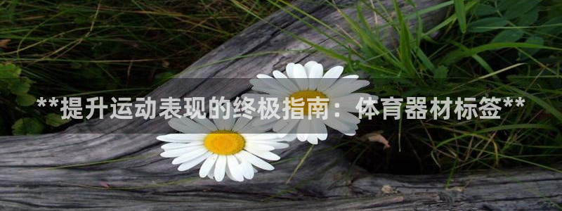 耀世平台负责人：**提升运动表现的终极指南：体育器材