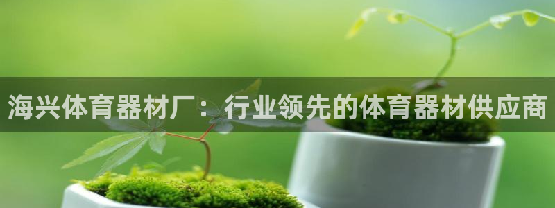 耀世平台是黑台子吗：海兴体育器材厂：行业领先的体育器