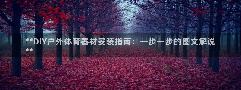 耀世而生什么意思：**DIY户外体育器材安装指南：一
