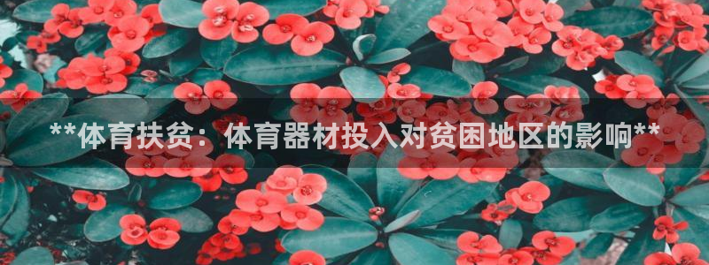 耀世娱乐合法吗：**体育扶贫：体育器材投入对贫困地区