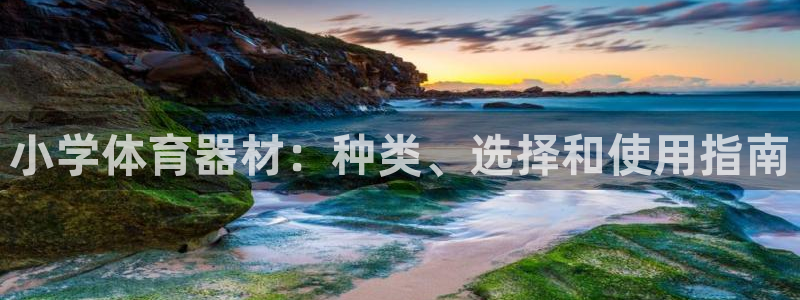 耀世娱乐平台注册地址：小学体育器材：种类、选择和使用