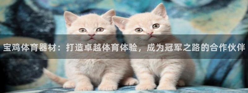 耀世令有什么用：宝鸡体育器材：打造卓越体育体验，成为