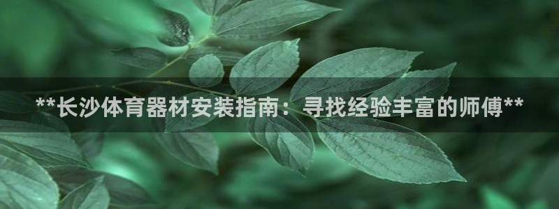 耀世而来是什么意思：**长沙体育器材安装指南：寻找经