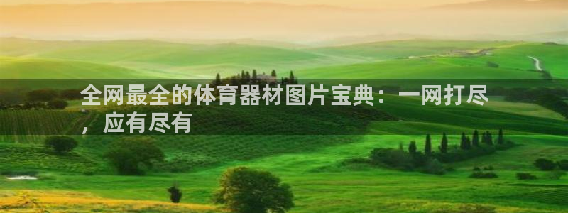 耀世国际平台正规吗可靠吗知乎：全网最全的体育器材图片