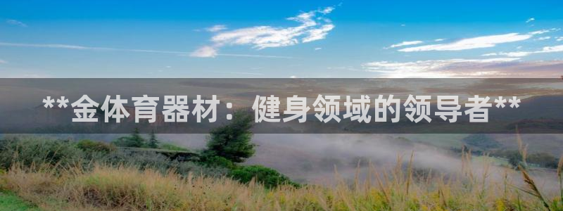 耀世歌曲：**金体育器材：健身领域的领导者**