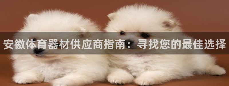耀世娱乐注册开户流程：安徽体育器材供应商指南：寻找您