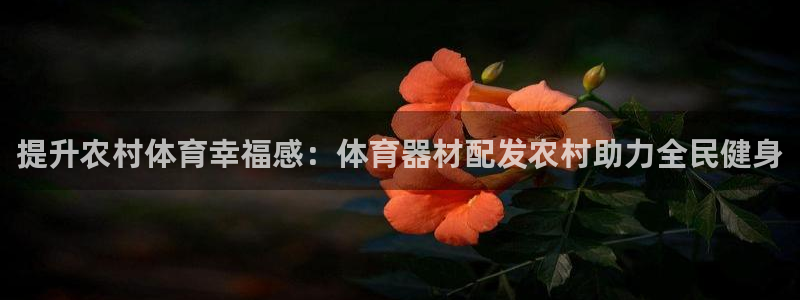 耀世娱乐挂机怎么玩：提升农村体育幸福感：体育器材配发