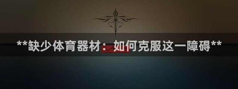 耀世平台总代理在哪：**缺少体育器材：如何克服这一障
