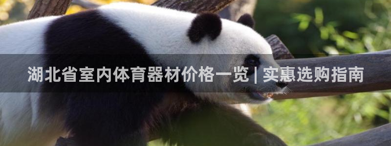 耀世娱乐挂机事件详情：湖北省室内体育器材价格一览 |
