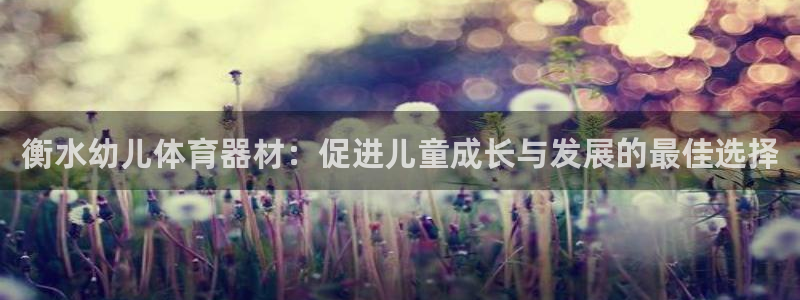 耀世娱乐登陆官网：衡水幼儿体育器材：促进儿童成长与发