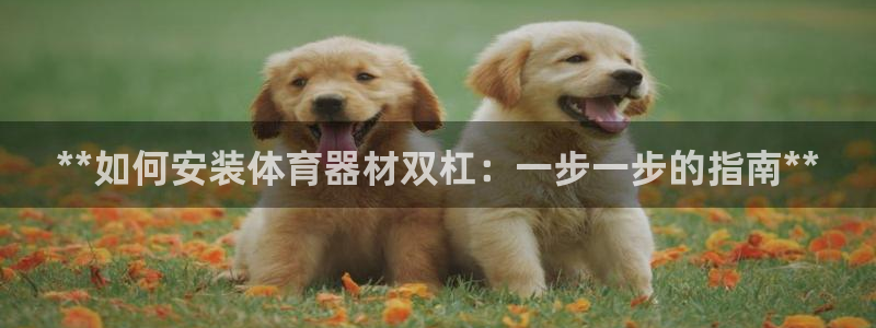耀世娱乐在线登录官网入口下载：**如何安装体育器材双