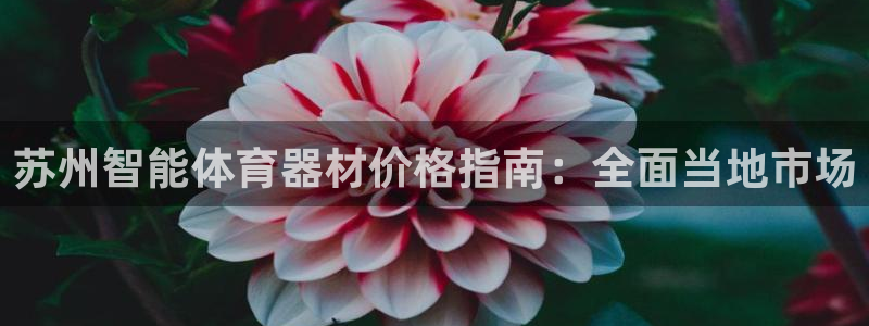 耀世娱乐平台官网登录入口手机版：苏州智能体育器材价格