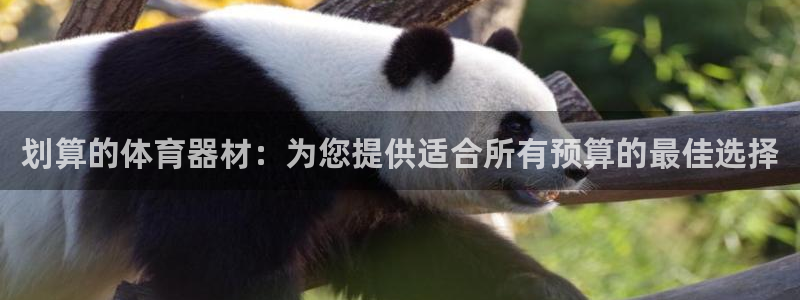 耀世娱乐骗局曝光：划算的体育器材：为您提供适合所有预