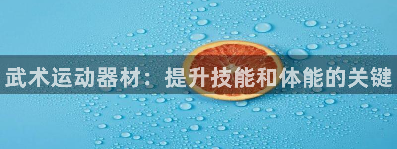 耀世娱乐官网注册账号：武术运动器材：提升技能和体能的