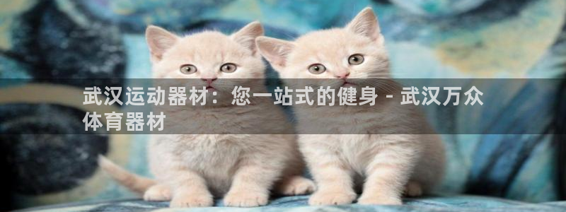 耀世集团是什么电影院：武汉运动器材：您一站式的健身 