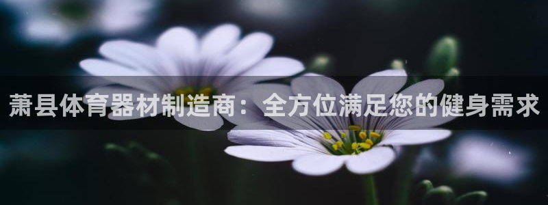 耀世幻主：萧县体育器材制造商：全方位满足您的健身需求