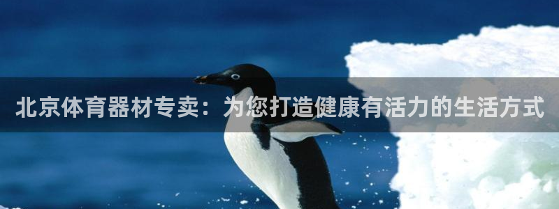 耀世娱乐登录注册教程：北京体育器材专卖：为您打造健康