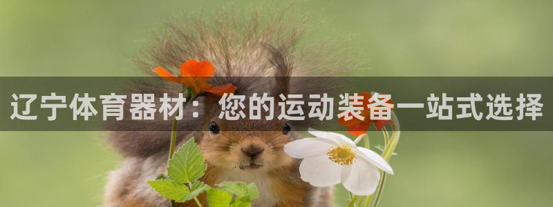 耀世集团做什么的：辽宁体育器材：您的运动装备一站式选