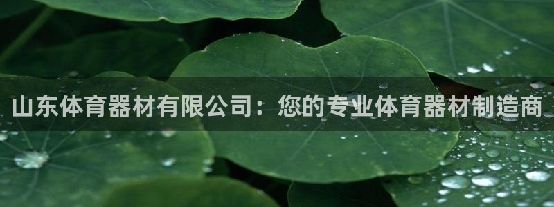 耀世娱乐app下载安装苹果：山东体育器材有限公司：您