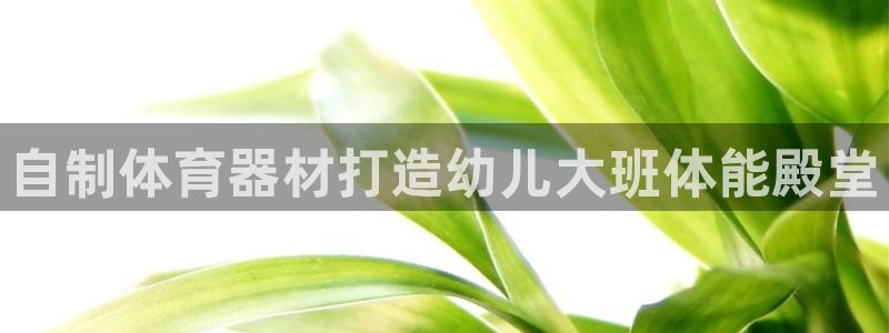 耀世而出：自制体育器材打造幼儿大班体能殿堂