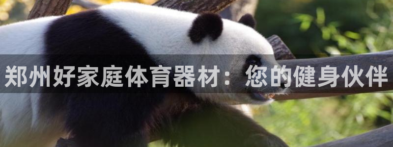 耀世平台哪个彩种是公平彩：郑州好家庭体育器材：您的健