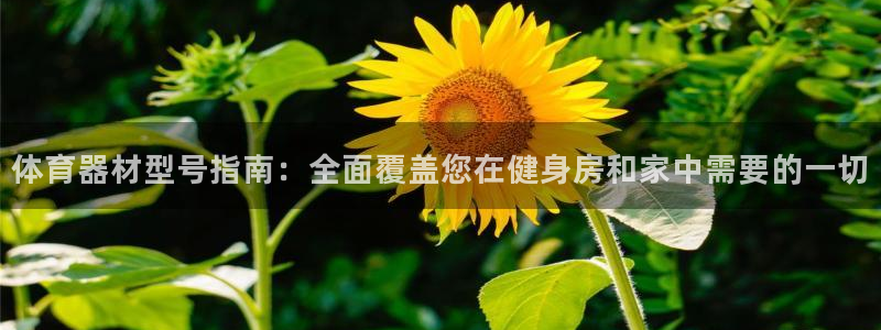 耀世娱乐如何登录账号密码：体育器材型号指南：全面覆盖
