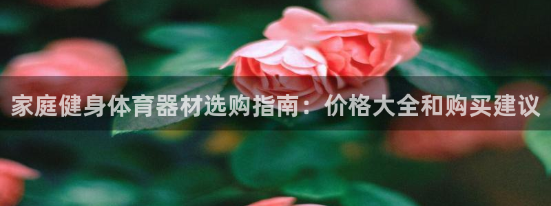 耀世平台开户：家庭健身体育器材选购指南：价格大全和购